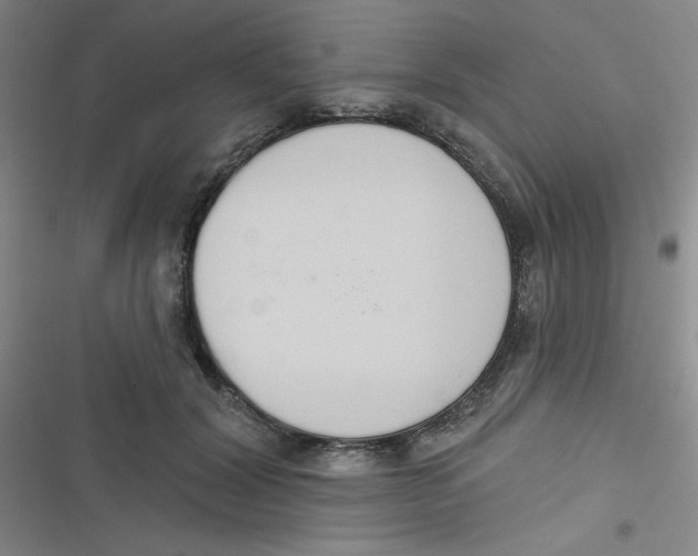 X0000116830604201001081439