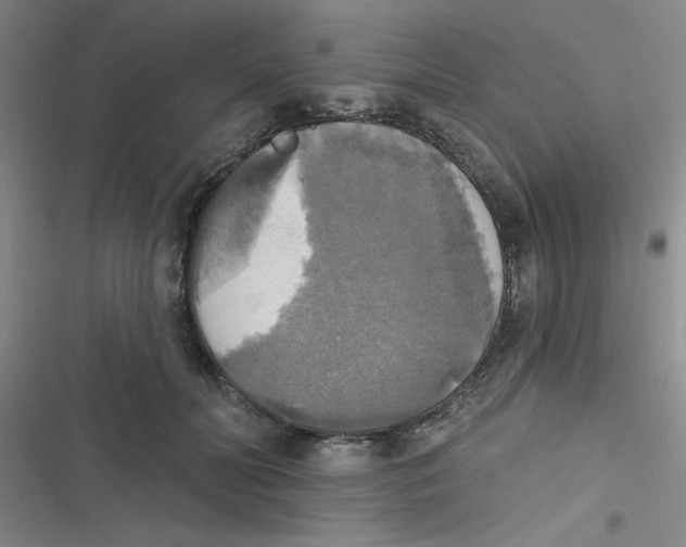 X0000116830606201001081439