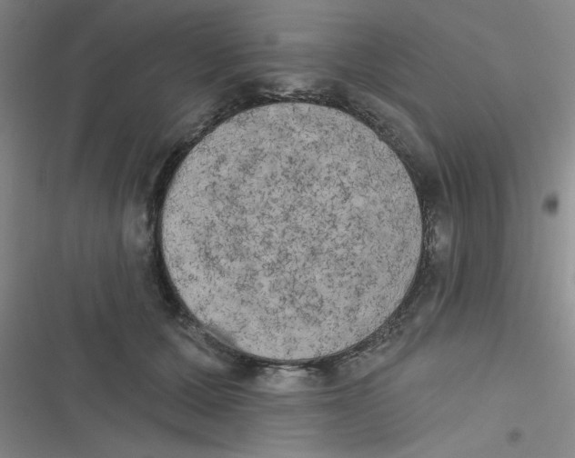 X0000116830607201001081439