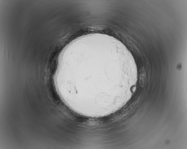 X0000116830608201001081439