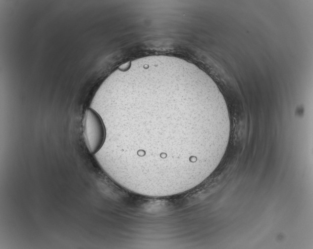 X0000116830609201001081439