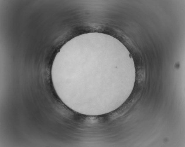 X0000116830613201001081439