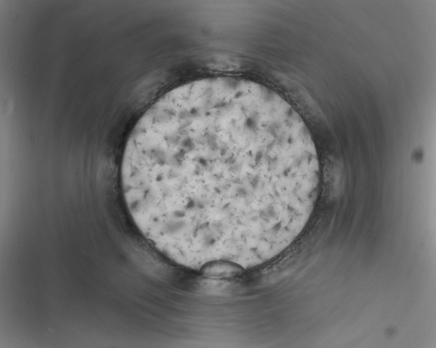 X0000116830614201001081439