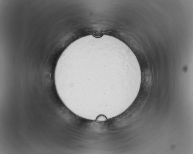 X0000116830615201001081439