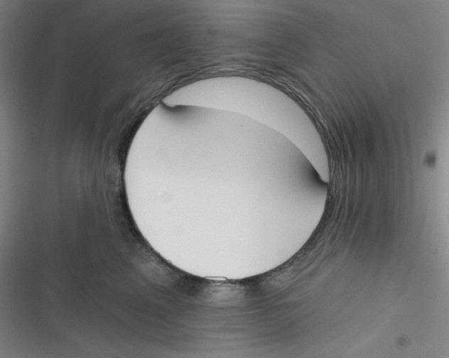 X0000116830617201001081439