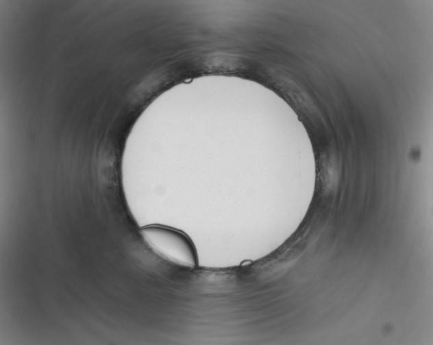 X0000116830619201001081439