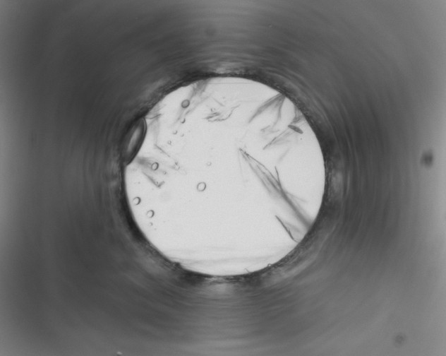 X0000116830620201001081439