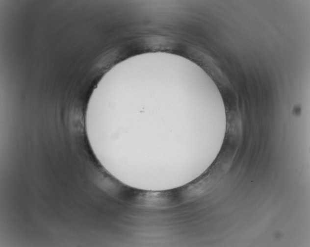 X0000116830622201001081439