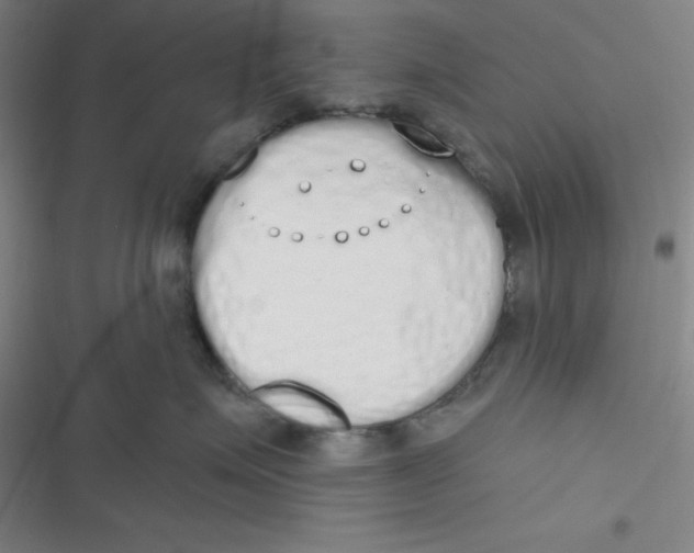 X0000116830623201001081439