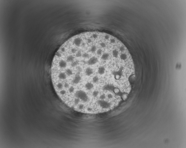 X0000116830624201001081439