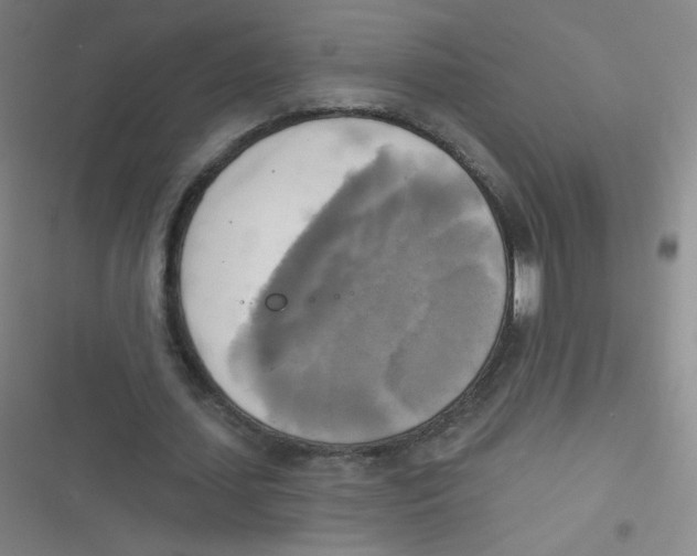 X0000116830627201001081438