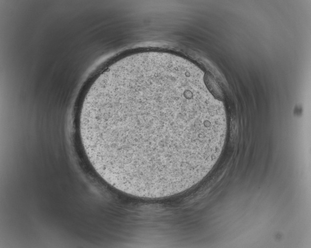 X0000116830628201001081438