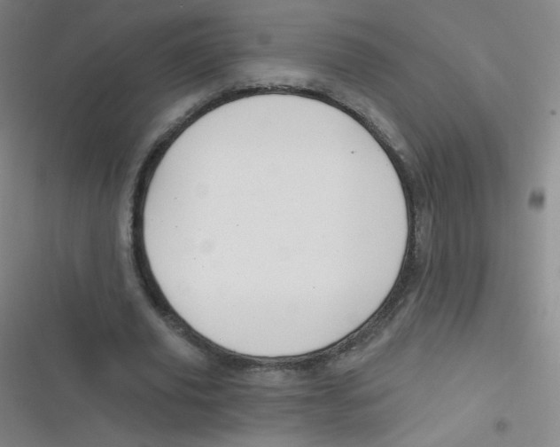 X0000116830629201001081438