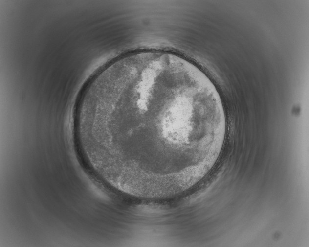 X0000116830630201001081438