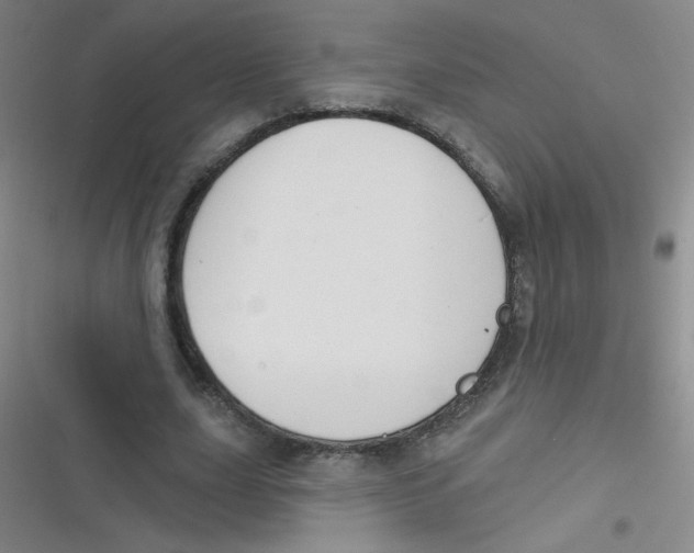 X0000116830631201001081438