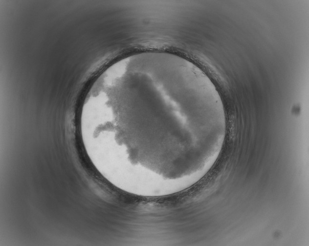 X0000116830634201001081438