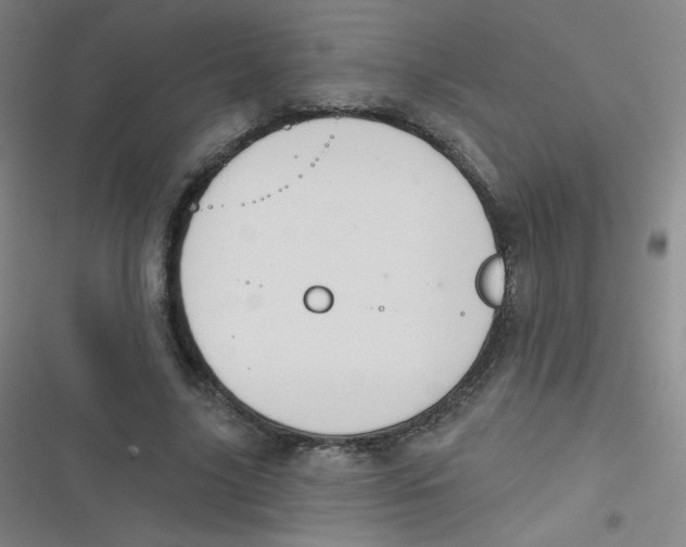 X0000116830635201001081438