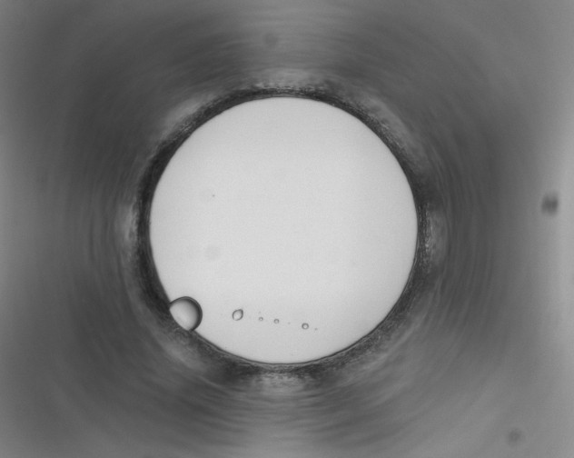 X0000116830636201001081438