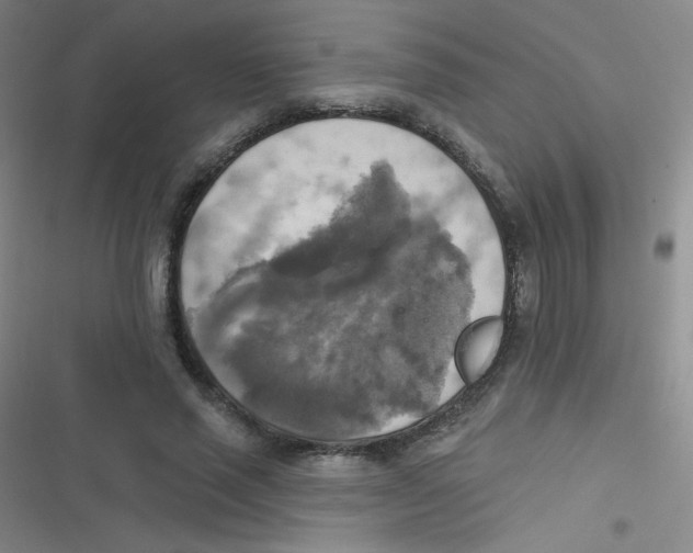 X0000116830637201001081438