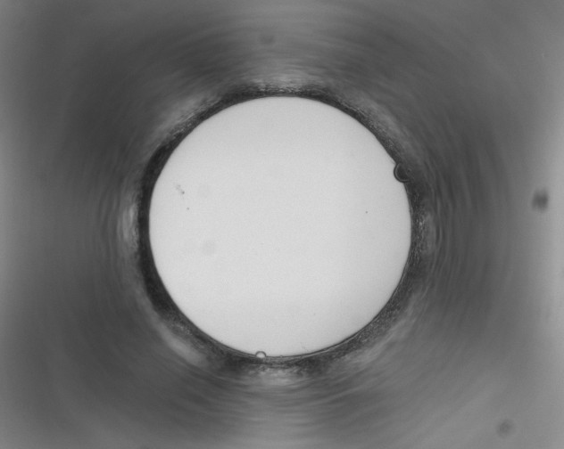 X0000116830638201001081438