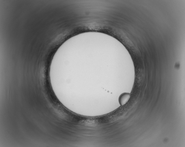 X0000116830639201001081438