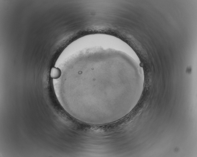 X0000116830640201001081438