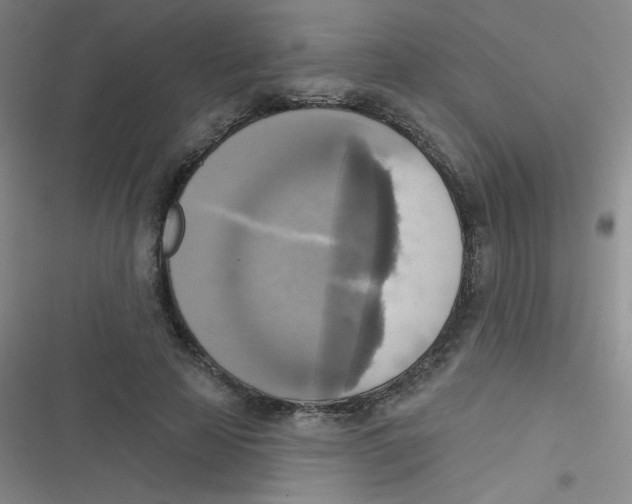 X0000116830641201001081438