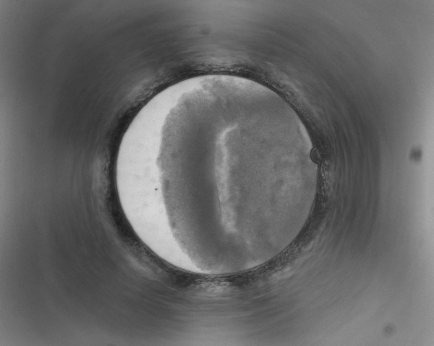 X0000116830642201001081438