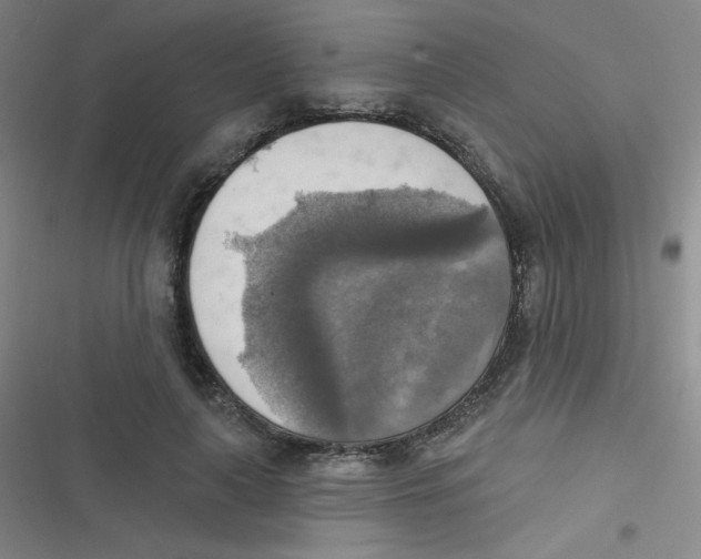 X0000116830643201001081438