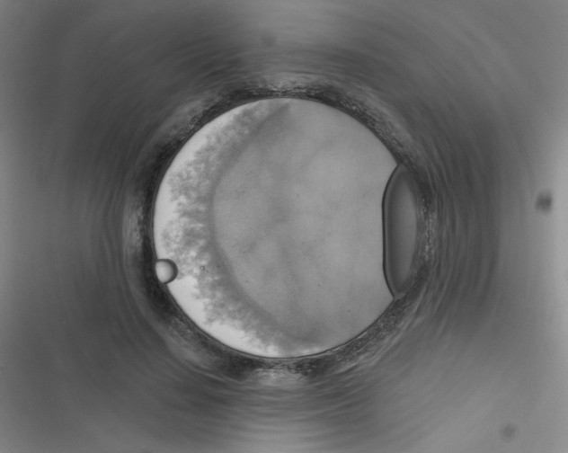 X0000116830644201001081438