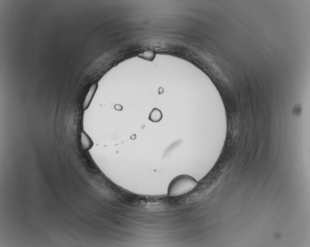 X0000116830645201001081438