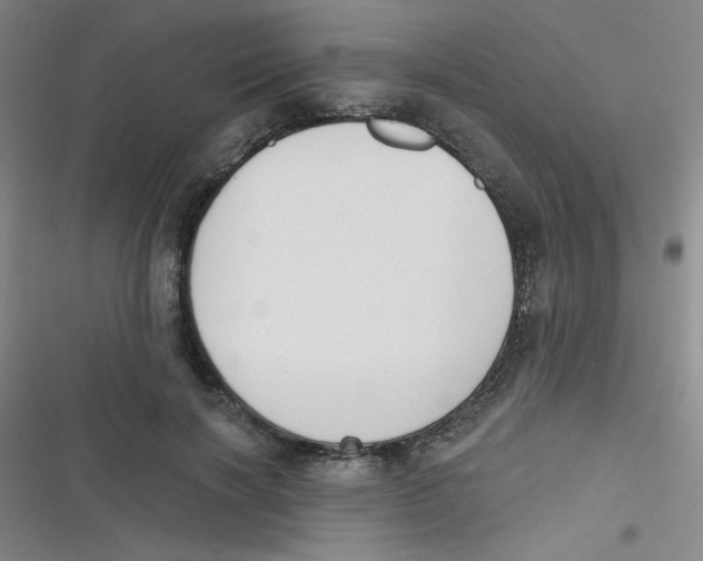 X0000116830646201001081438