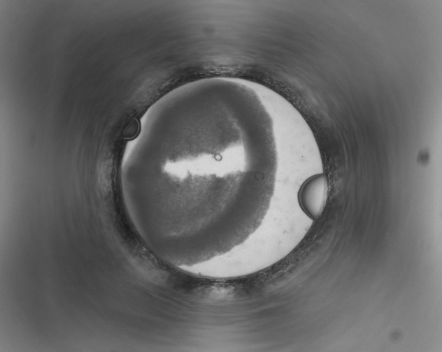 X0000116830647201001081438