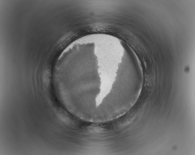 X0000116830648201001081438