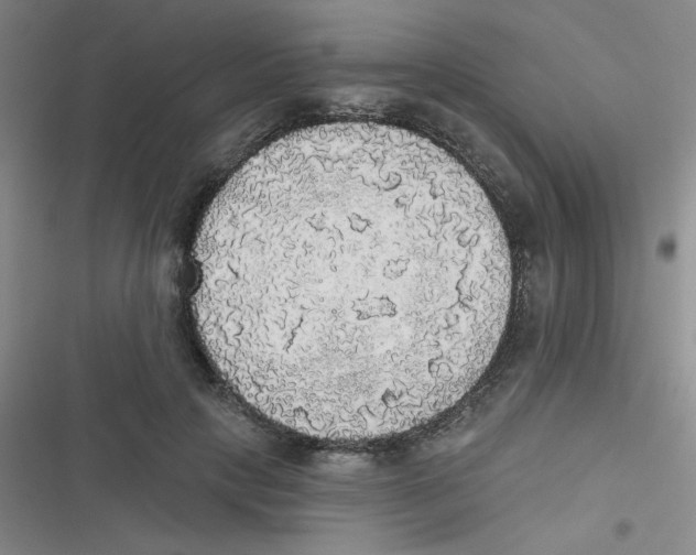 X0000116830649201001081438