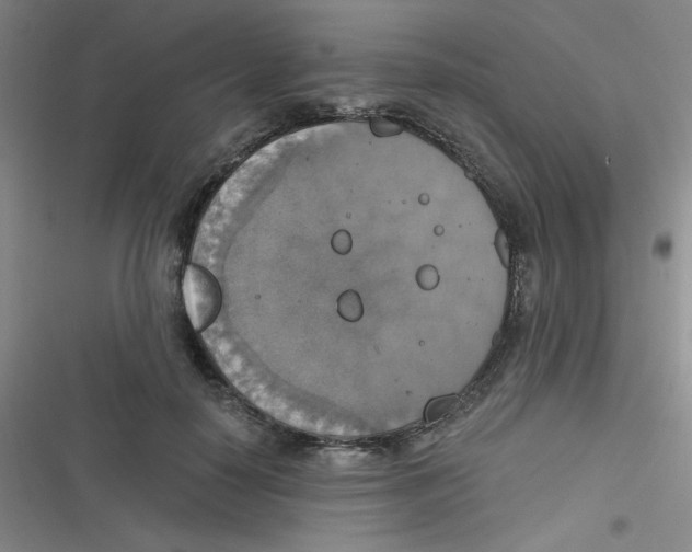 X0000116830650201001081438