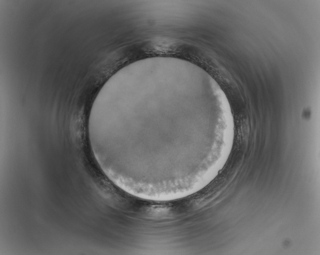 X0000116830651201001081439