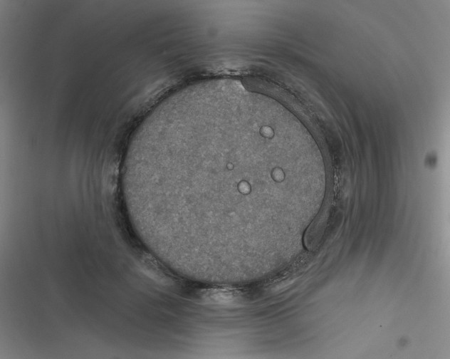 X0000116830652201001081439