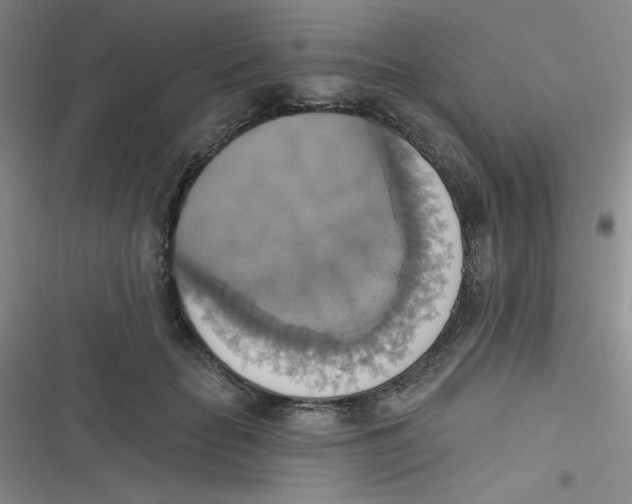 X0000116830653201001081439