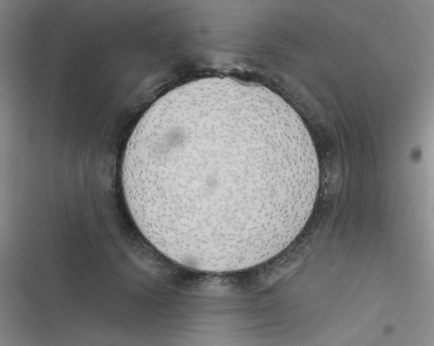 X0000116830656201001081439