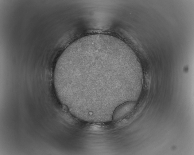 X0000116830657201001081439