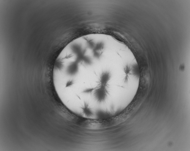 X0000116830658201001081439