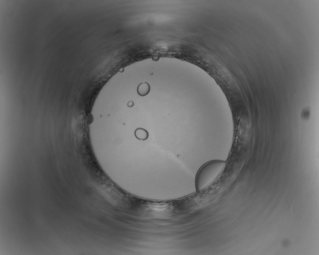 X0000116830659201001081439