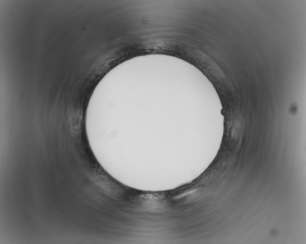 X0000116830660201001081439