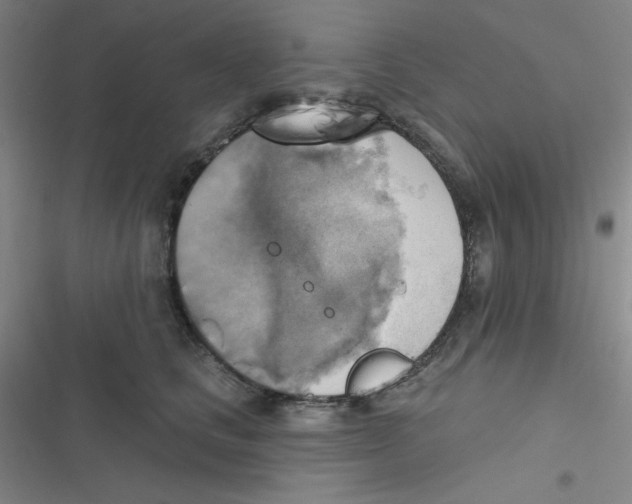 X0000116830661201001081439