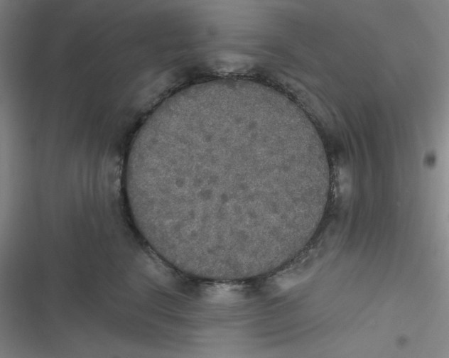 X0000116830664201001081439