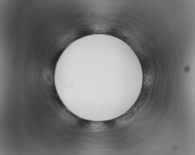 X0000116830666201001081439