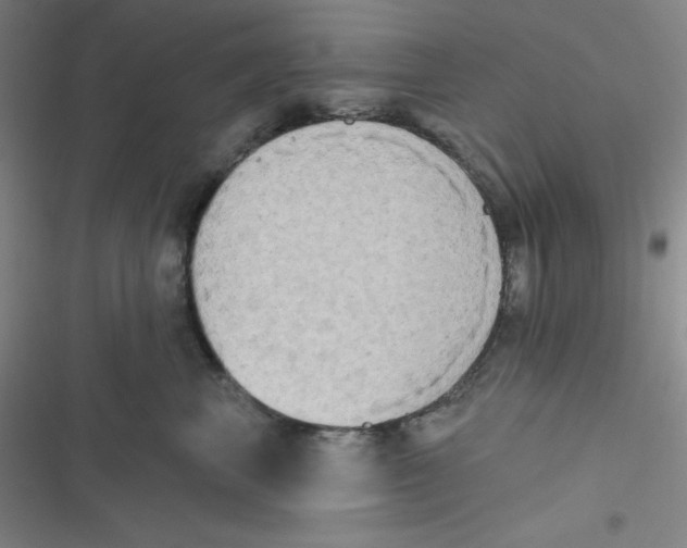 X0000116830667201001081439