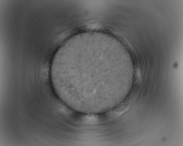 X0000116830668201001081439