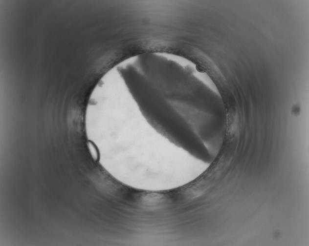 X0000116830669201001081439